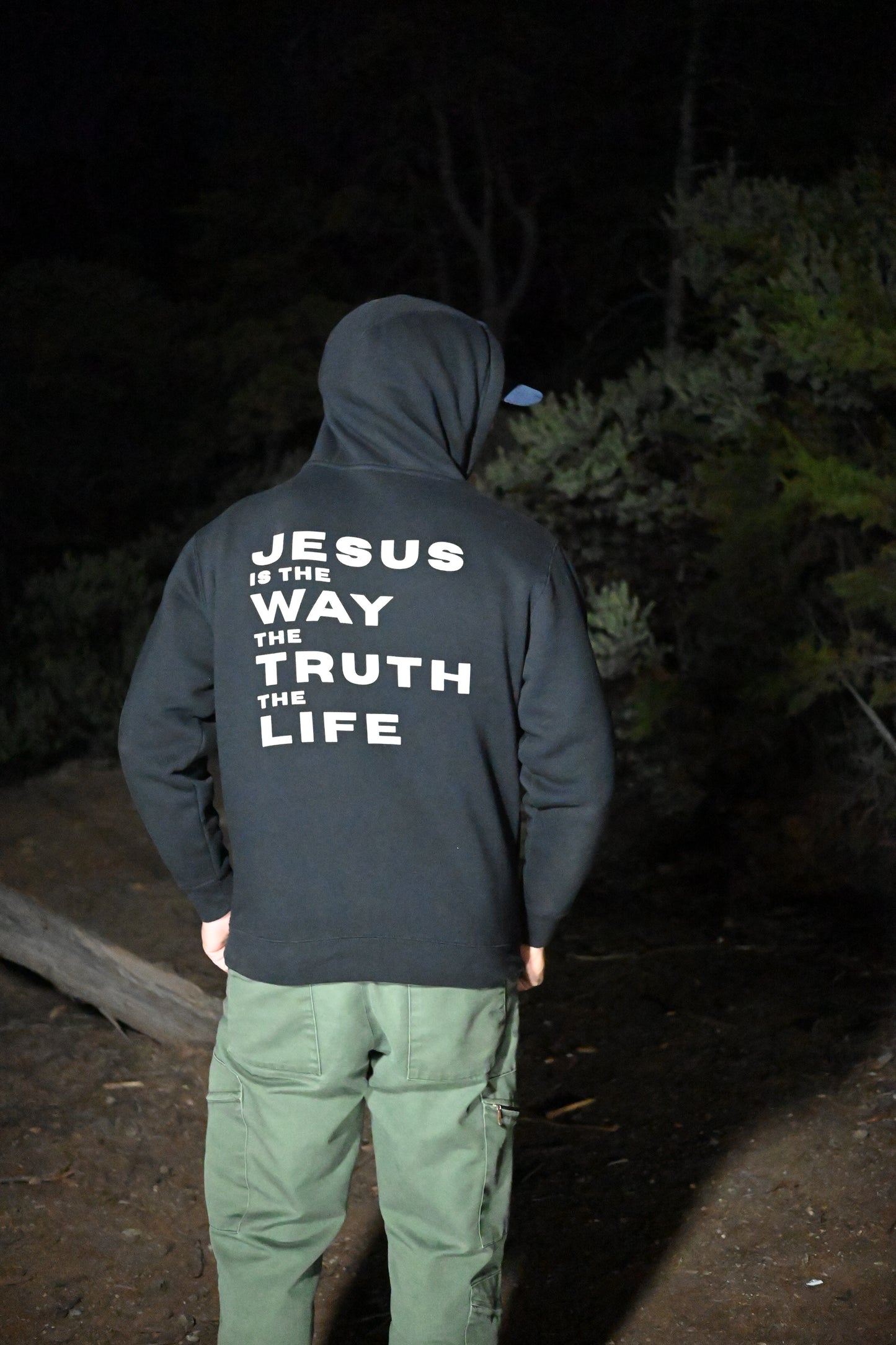 WAY TRUTH LIFE hoodie